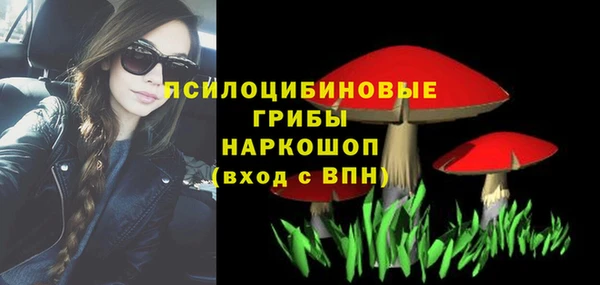 ГАЛЛЮЦИНОГЕННЫЕ ГРИБЫ Медногорск
