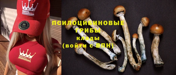 ГАЛЛЮЦИНОГЕННЫЕ ГРИБЫ Медногорск