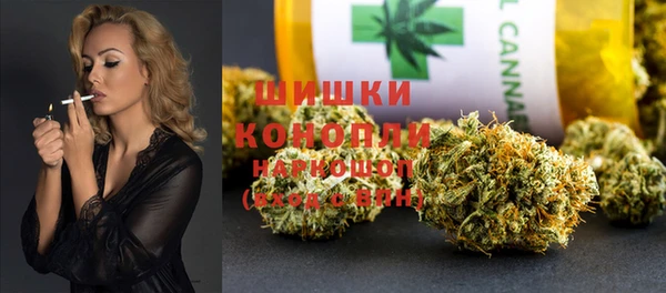 ГАЛЛЮЦИНОГЕННЫЕ ГРИБЫ Медногорск