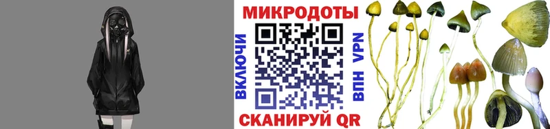 Псилоцибиновые грибы GOLDEN TEACHER  Среднеколымск 
